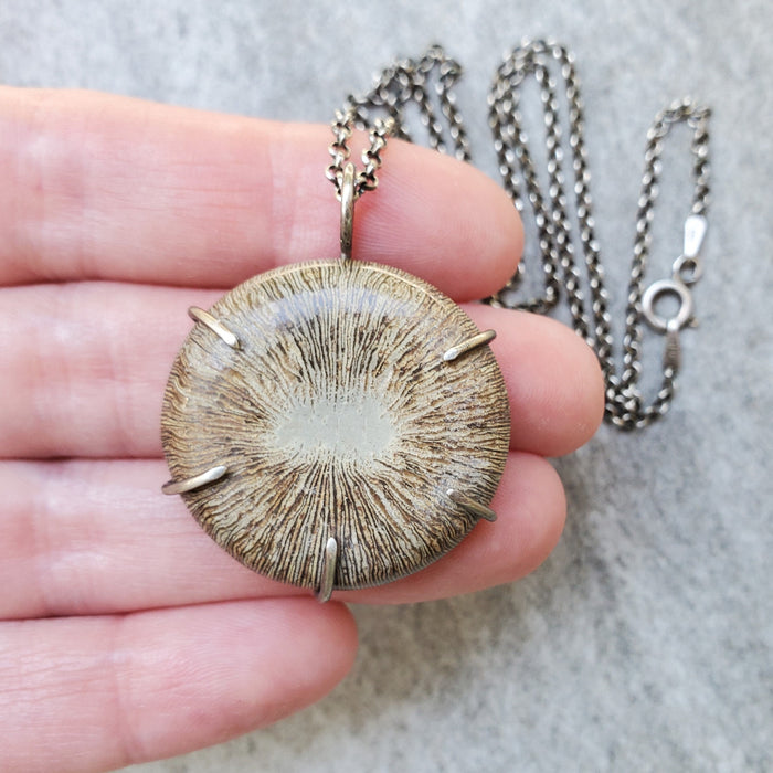 Fossil Coral Bud Prong Set Pendant