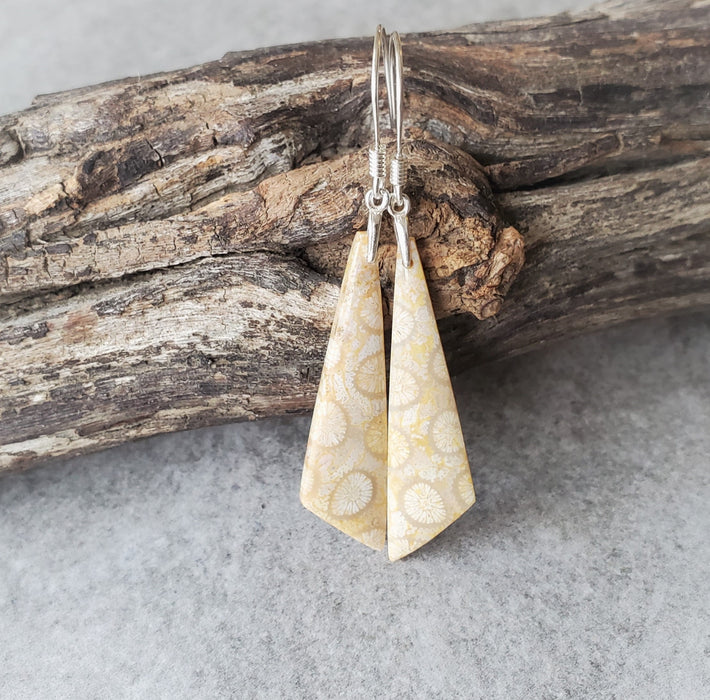 Fossil coral hanging on sterling silver ear wires. 