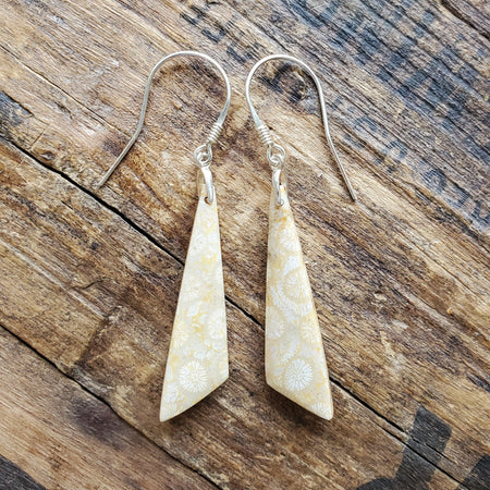 Fossil coral hanging on sterling silver ear wires. 