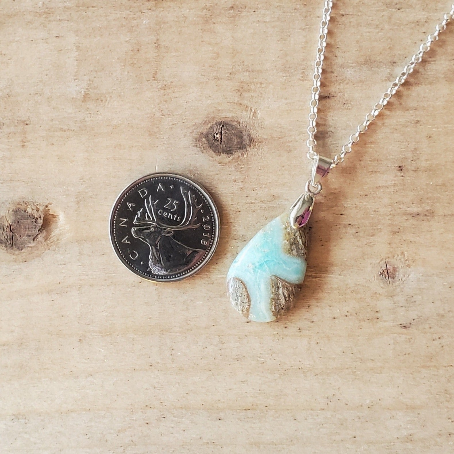 Illustration of Shoreline Coastal Jewelry Decor